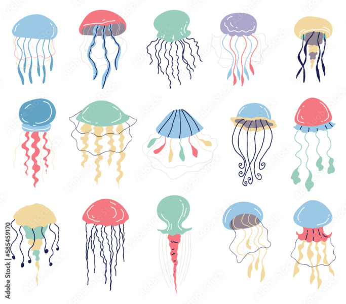 meduse